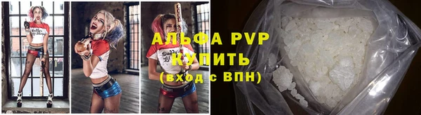 крисы Алзамай