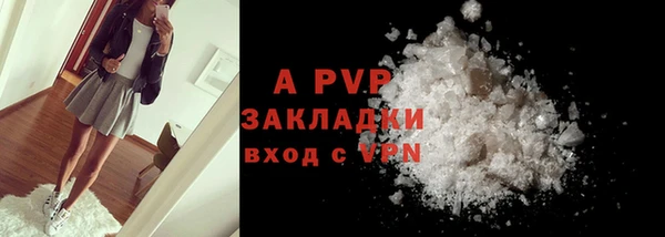 крисы Алзамай