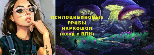крисы Алзамай