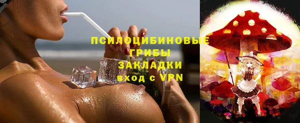 индика Алексеевка