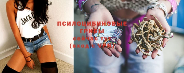 крисы Алзамай