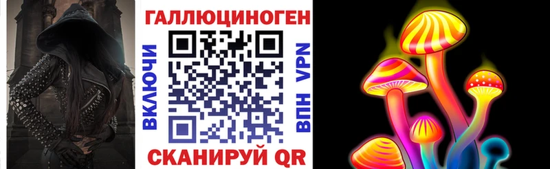 МЕГА как зайти  Завитинск  площадка состав  Псилоцибиновые грибы Psilocybe 
